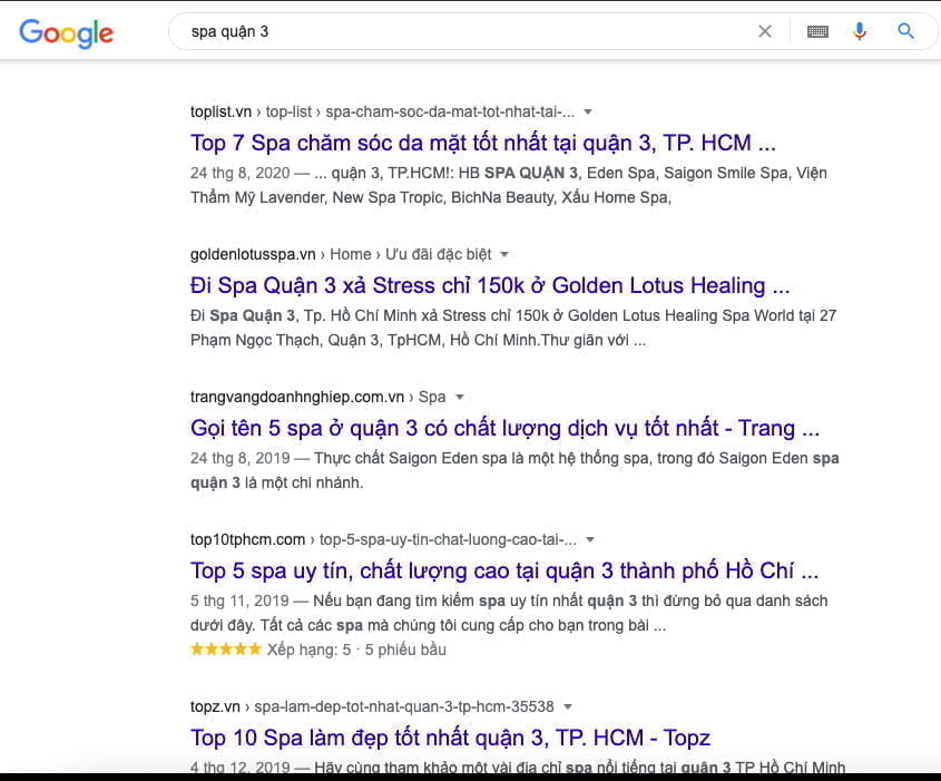 dịch vụ seo spa.jpg