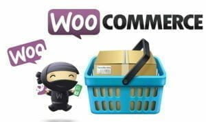 woocommerce-la-gi