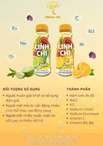 Nước điện giải linh chi Trường Thọ