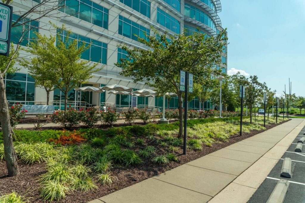 Thiết kế cảnh quan thương mại