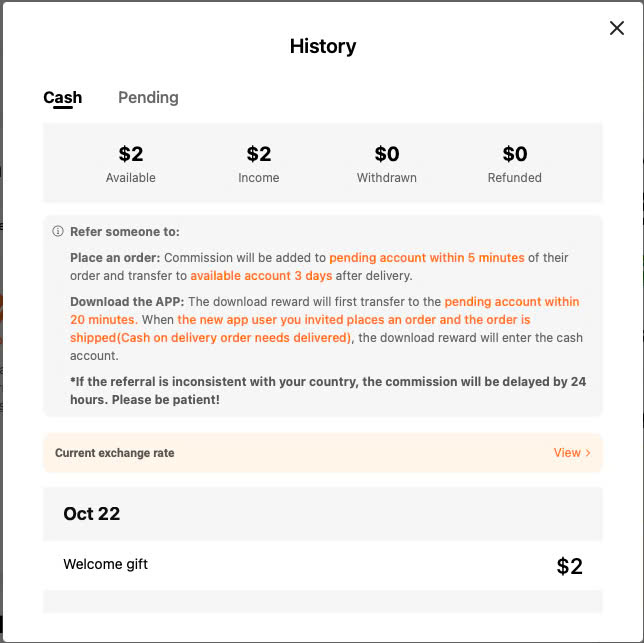 history of Temu Affiliate Program