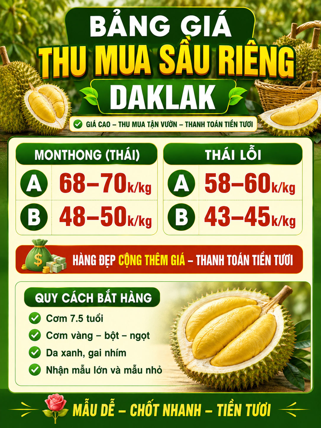 Bảng giá thu mua sầu riêng